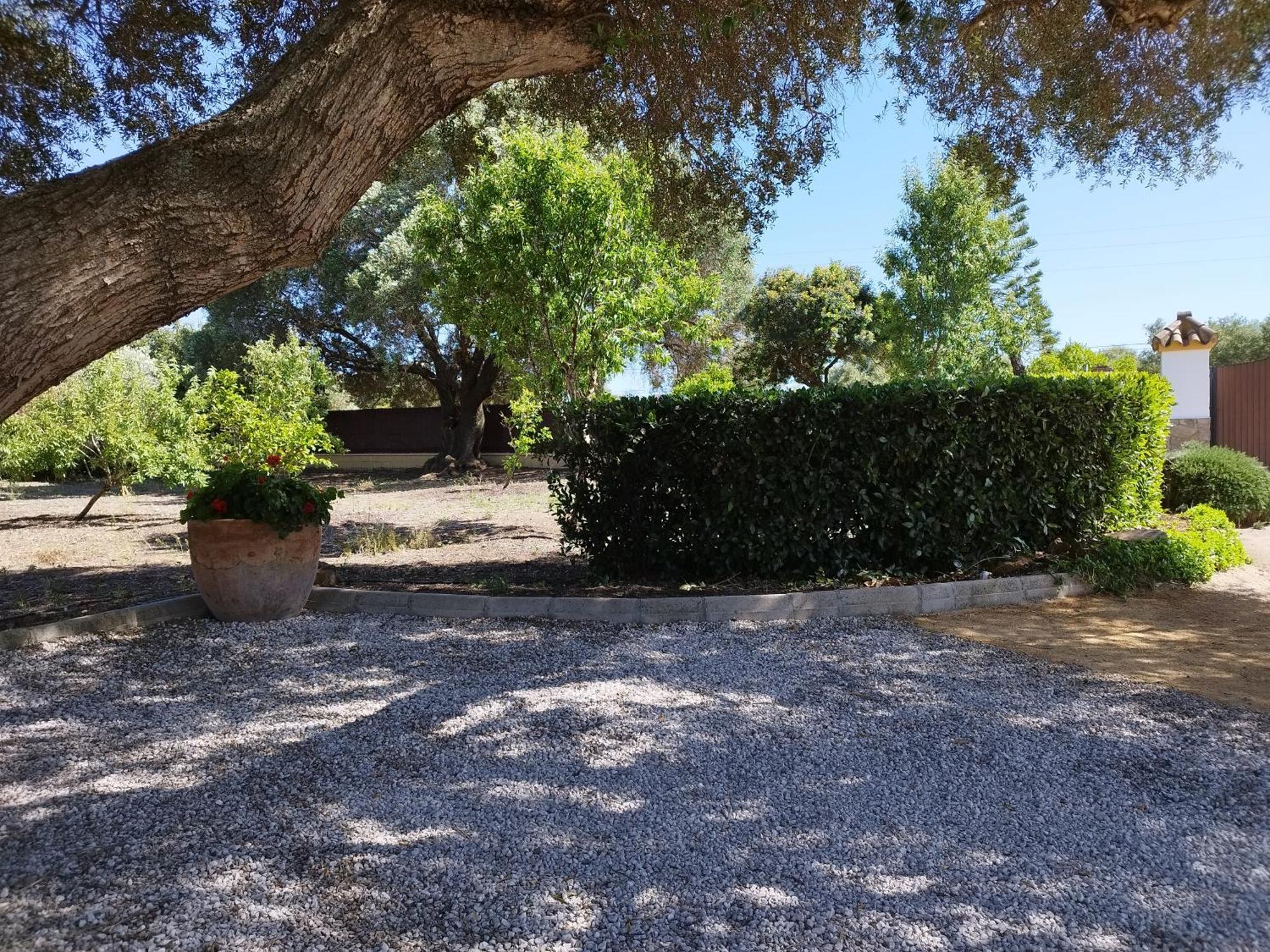 Vivienda Rural Los Madronos Malcocinado  Exterior foto